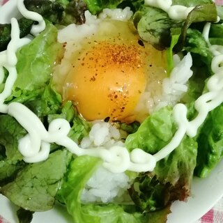 サニーレタスとめんつゆマヨ七味かけ卵ご飯